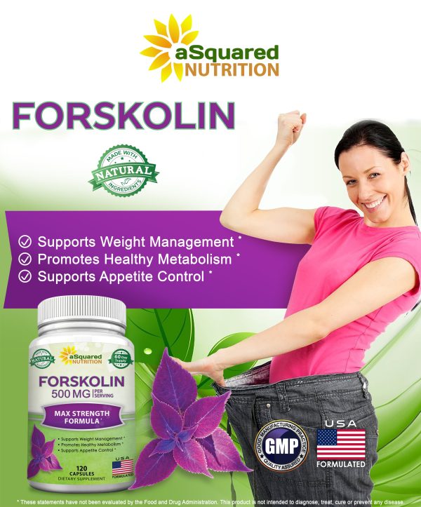 Forskolin 500mg Online - Image 3