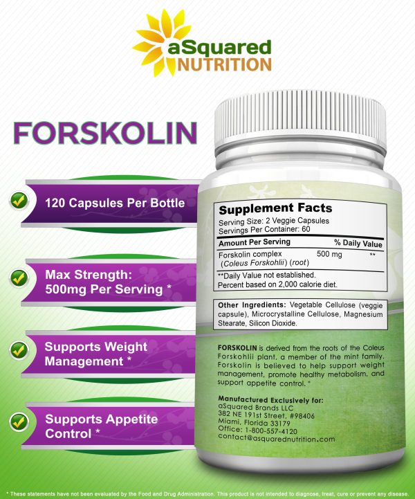 Forskolin 500mg Online - Image 4