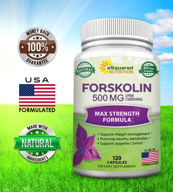 Forskolin 500mg Online - Image 2