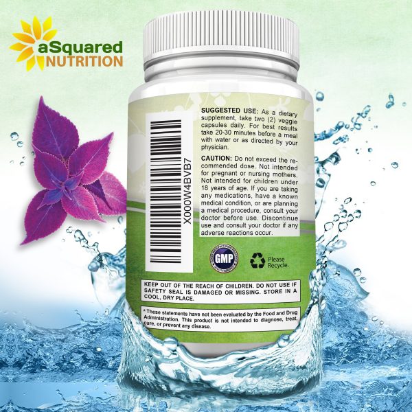 Forskolin 500mg Online - Image 5