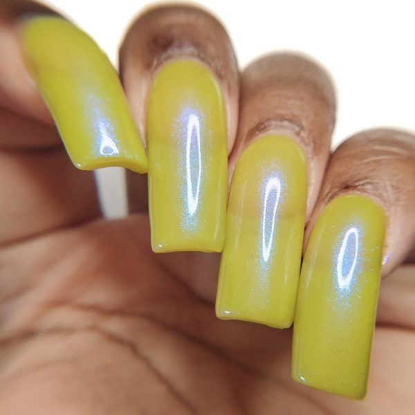 Bee s Knees | Reveling on Sale - Image 3