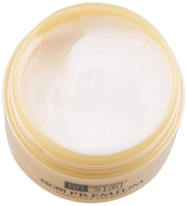 Rohto Hada Labo Gokujyun Premium Cream Fashion - Image 3